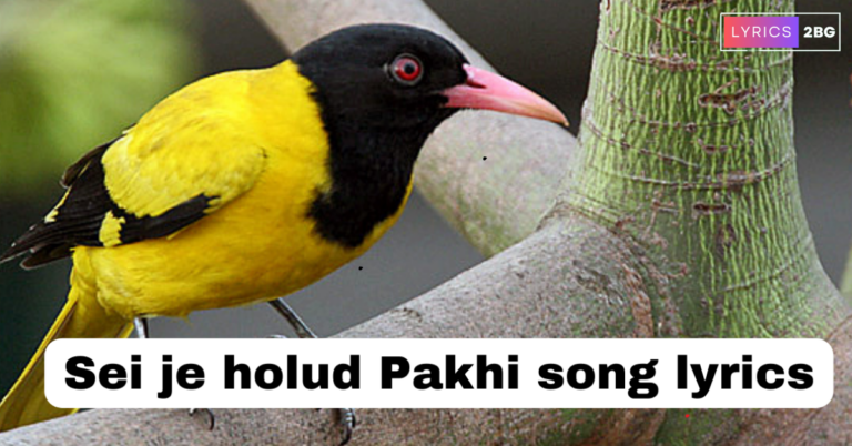 Sei Je Holud Pakhi Lyrics | সেই যে হলুদ পাখি | Cactus Band